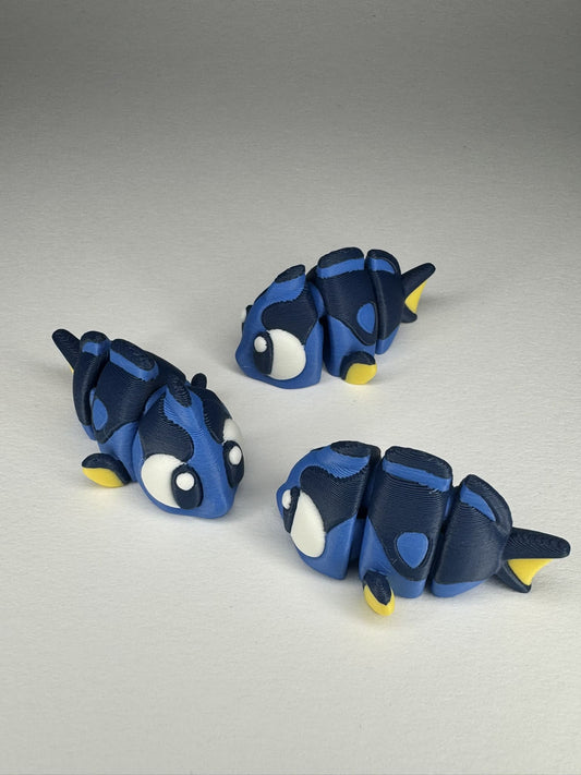 Doktorfisch