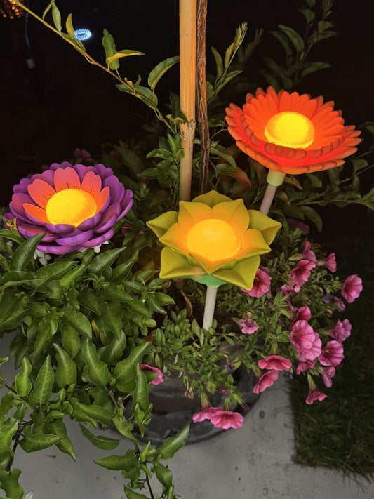 GlowBloom