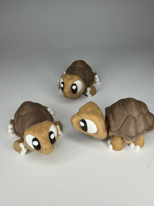 Schildkröte