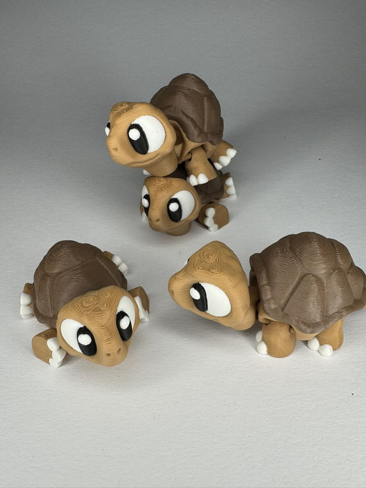 Schildkröte